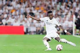 仅显示了 仅显示了